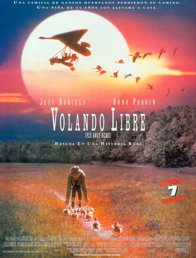 Volando a casa