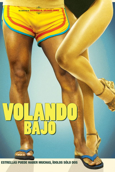 Póster de Volando Bajo
