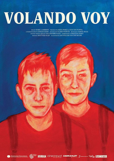 Póster de Volando voy