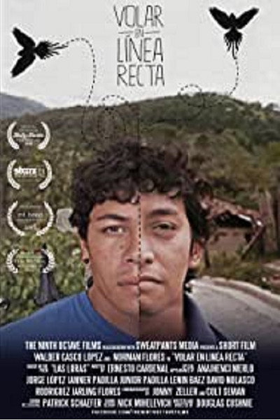 Póster de Volar en línea recta