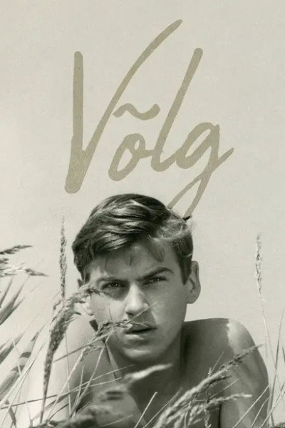 Póster de Võlg