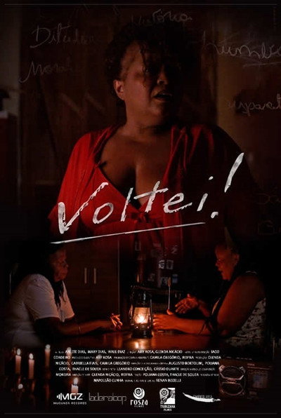 Póster de Voltei!