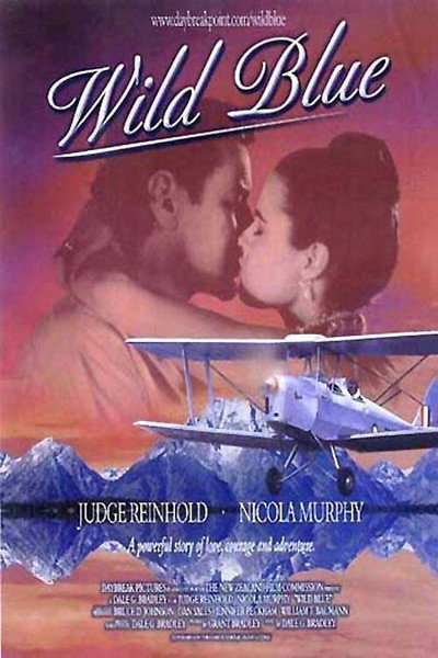 Póster de Voluntad de volar
