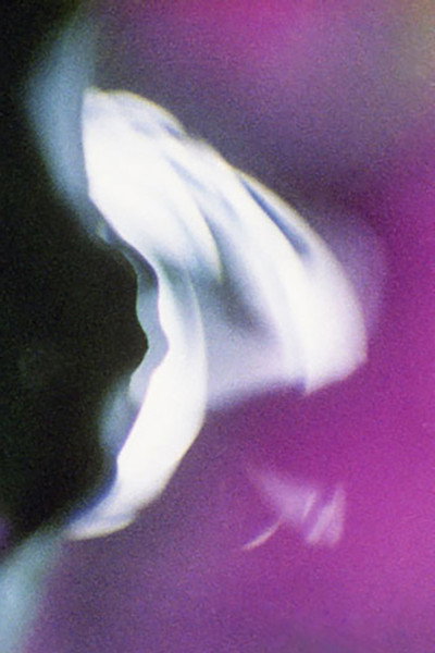 Póster de Voluptuous Sleep