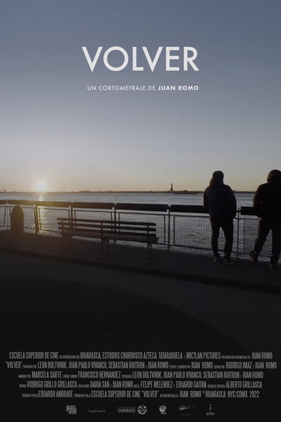 Póster de Volver
