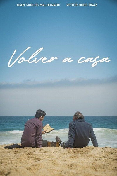 Póster de Volver a casa