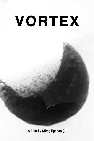 Póster de Vortex