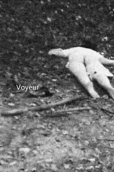 Póster de Voyeur