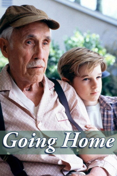 Póster de Vuelta a casa