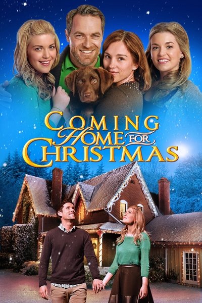 Póster de Vuelta a casa por Navidad