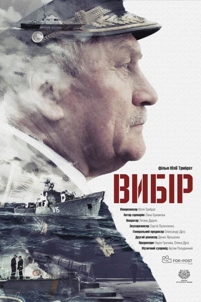 Póster de Vybir