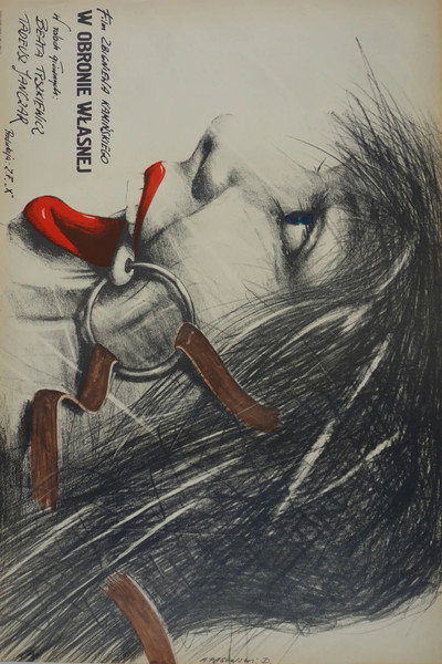 Póster de W obronie wlasnej