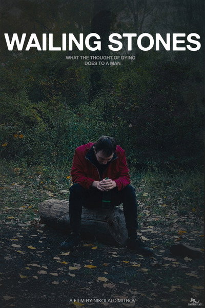 Póster de Wailing Stones