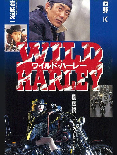 Póster de Wairudo hârê