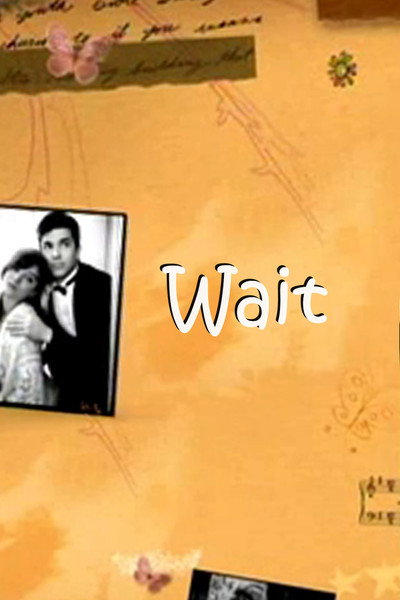 Póster de Wait