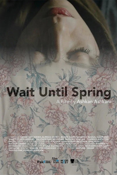 Póster de Wait Until Spring