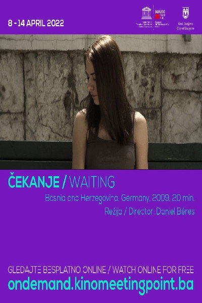 Póster de Waiting