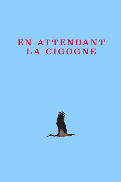 Póster de Waiting for the Stork