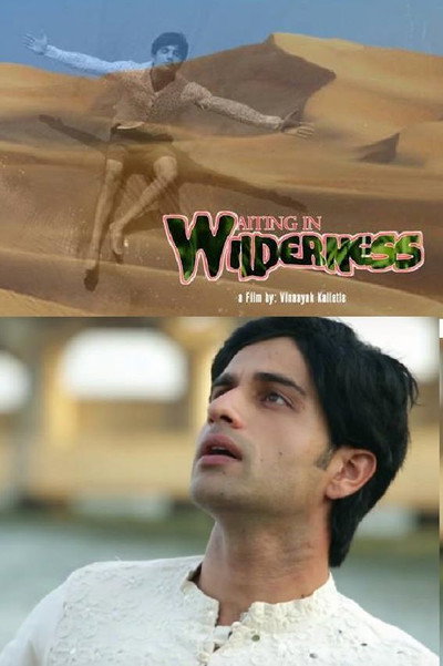 Póster de Waiting in Wilderness