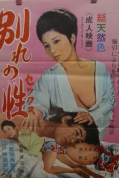 Póster de Wakare no sei