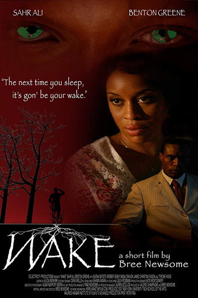 Póster de Wake