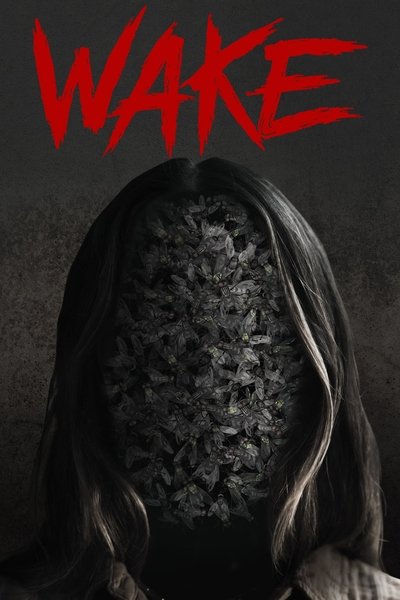 Póster de Wake