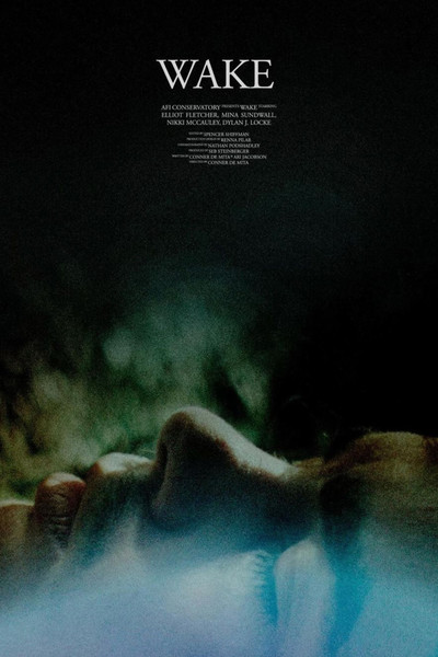 Póster de Wake