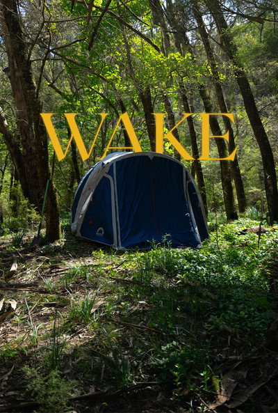 Póster de Wake