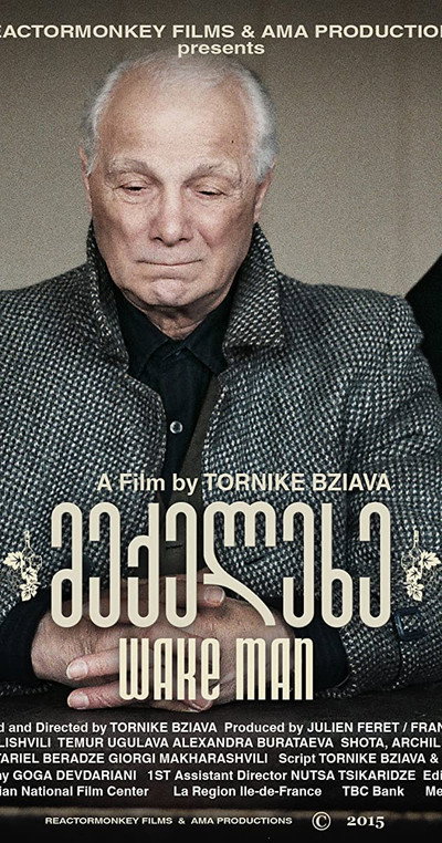 Póster de Wake Man