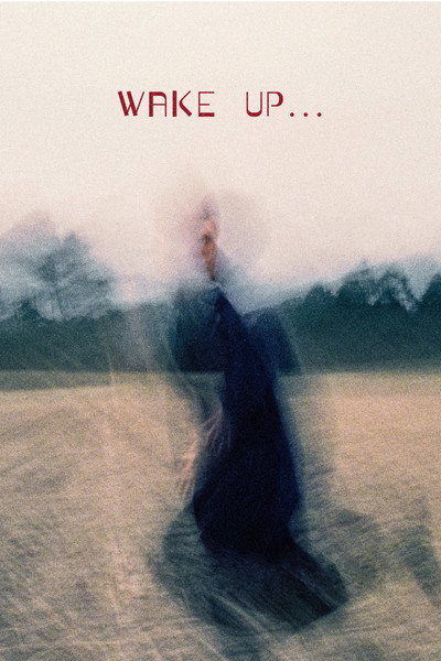 Póster de Wake up...