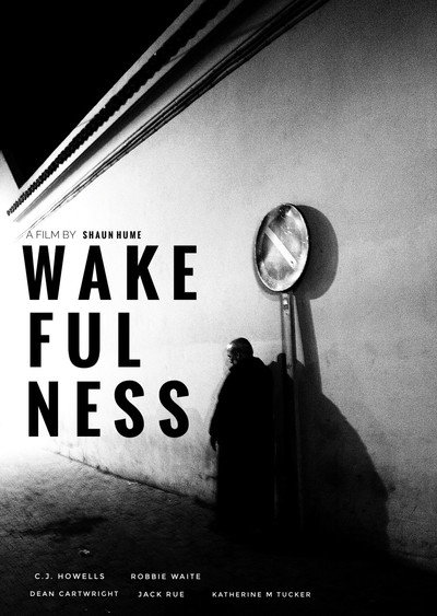 Póster de Wakefulness