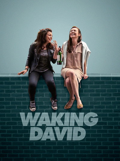 Póster de Waking David