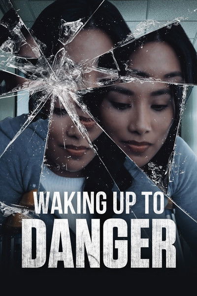 Póster de Waking Up to Danger
