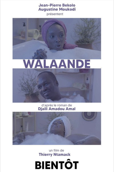 Póster de Walaandé