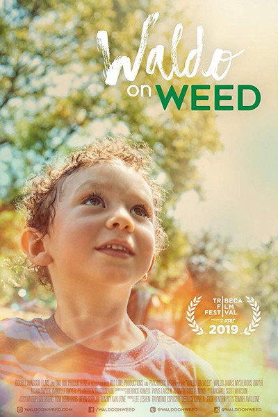 Póster de Waldo on Weed