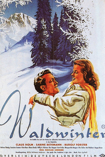 Póster de Waldwinter
