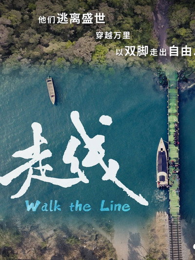 Póster de Walk the Line