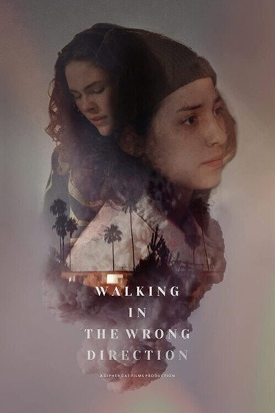 Póster de Walking in the Wrong Direction
