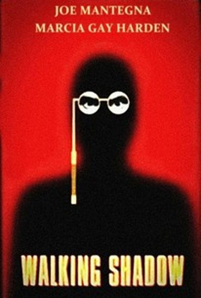 Póster de Walking Shadow