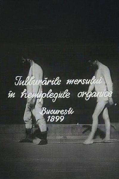 Póster de Walking Troubles of Organic Hemiplegy
