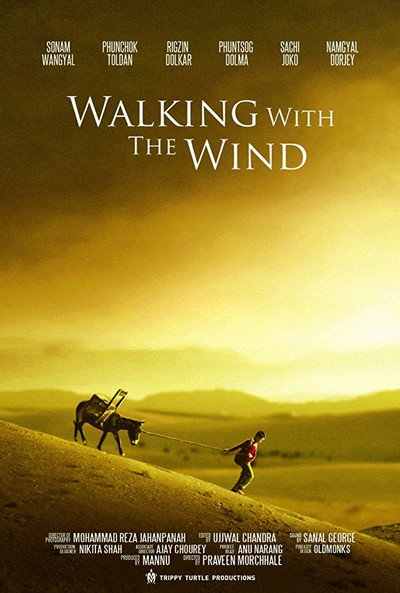 Póster de Walking with the Wind