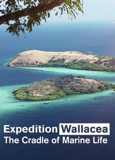 Póster de Wallacea - Expedition zur Wiege der Meeresfauna