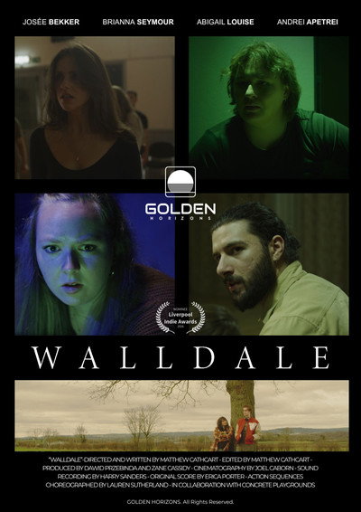 Póster de WallDale