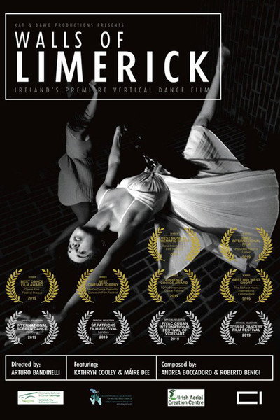 Póster de Walls of Limerick
