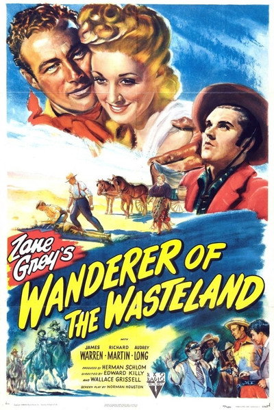 Póster de Wanderer of the Wasteland