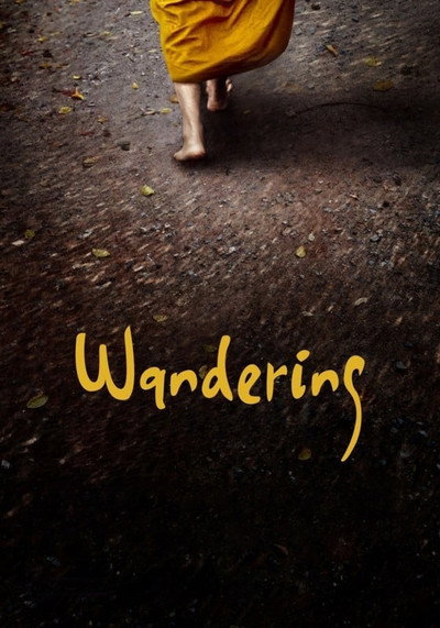 Póster de Wandering