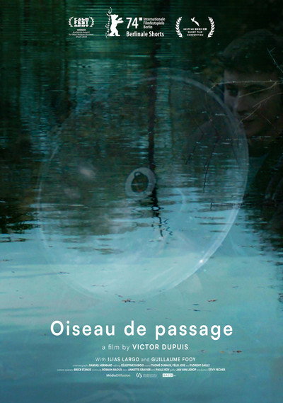 Póster de Wandering Bird