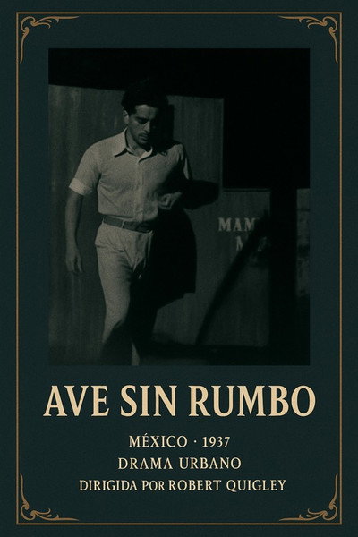 Póster de Wandering Bird