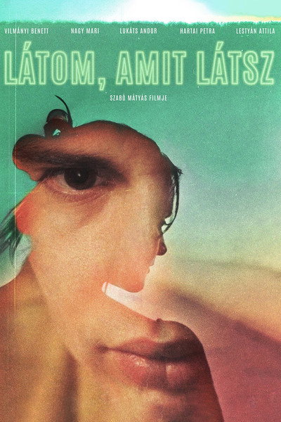 Póster de Wandering Leaves
