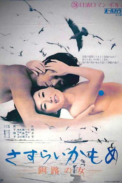 Póster de Wandering Seagull: Night in Kushiro